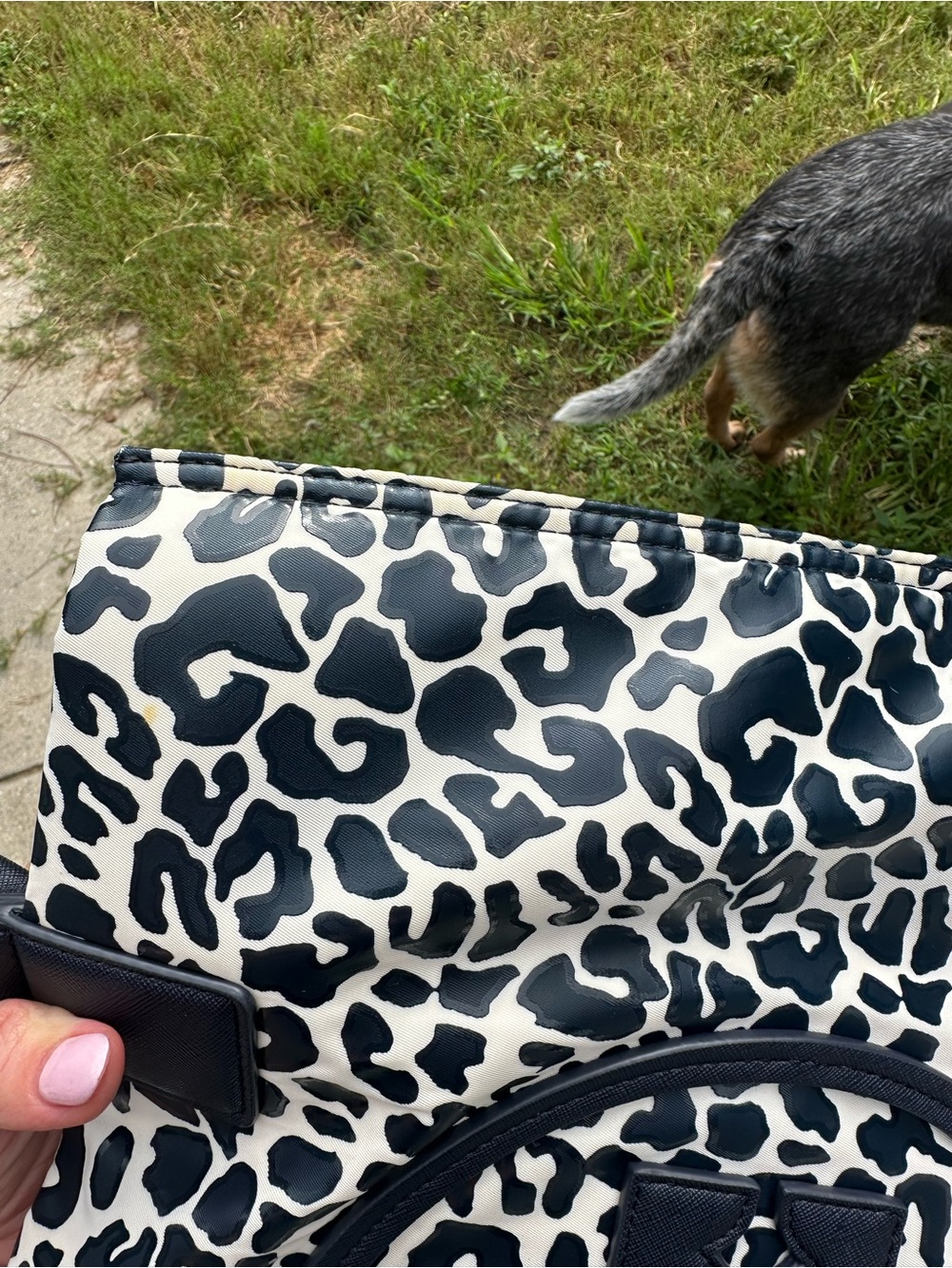 Tory Burch Black and White Leopard Print Tote - Picture 8 of 12